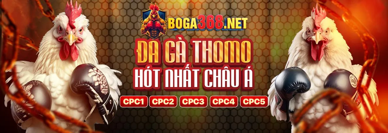 mu888 Trang Chủ Chính Thức 2026: Ưu Đãi & Giải Trí Đỉnh Cao!